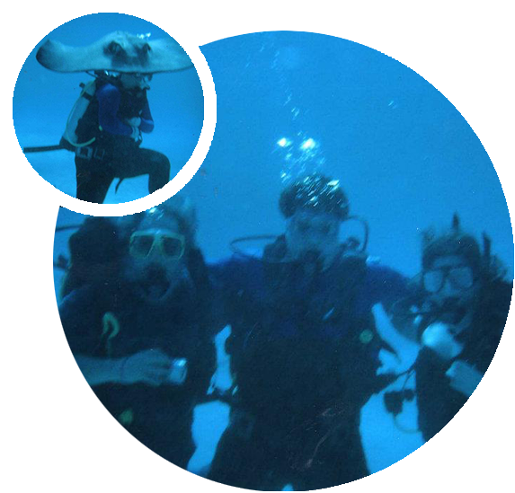 Doctor David Fried scuba diving with a sting ray and two other people